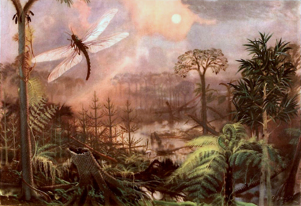 Helechos del período Carbonífero