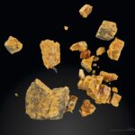 ámbar español: Fósiles