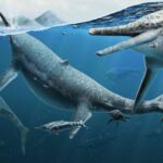 La fascinante era geológica y el milagro de la vida en la Tierra: una historia cautivadora