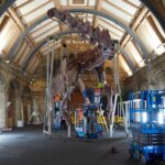 Descubre la diferencia entre fósil original y réplica: ¡Descubre la verdadera esencia!