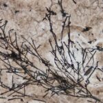 Descubre la Impactante Evidencia Ancestral de Vida en la Tierra