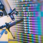 Los Descubrimientos Paleontológicos Más Asombrosos: Cambios Sorprendentes en Nuestro Pasado Geológico y Biológico