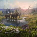 Descubre los fascinantes misterios de los ecosistemas antiguos: Guía completa de fósiles