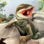 Descubre los secretos de antiguos ecosistemas con los fósiles: ¡Aprende cómo!