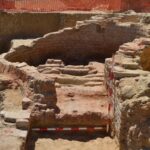 Revolutionary New Discoveries: Transformando tu visión de la vida prehistórica